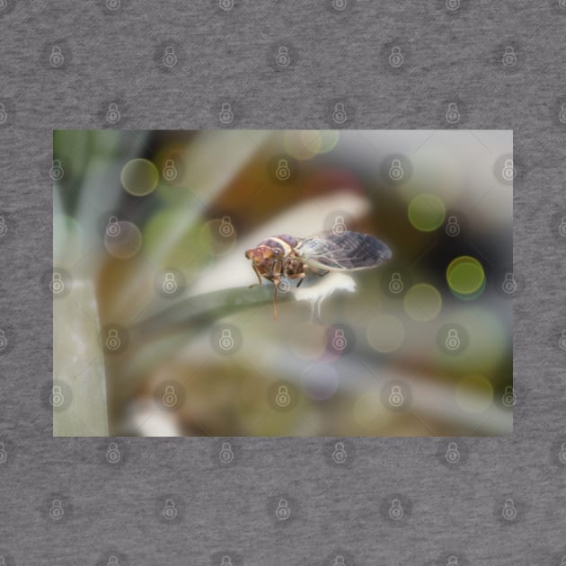 Cicada on Pineapple Tree in Summer Light by ButterflyInTheAttic